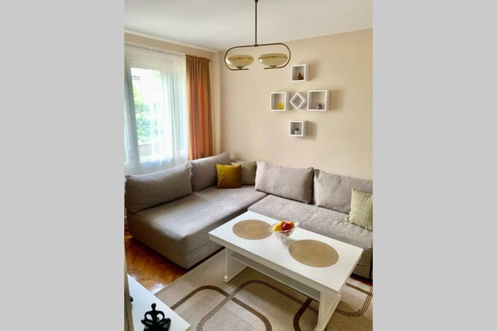Cute, Spacious Apt In The Heart Of The Old Town 포드고리차 외부 사진
