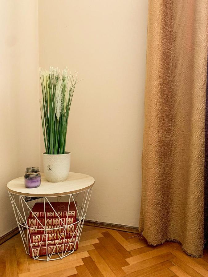 Cute, Spacious Apt In The Heart Of The Old Town 포드고리차 외부 사진